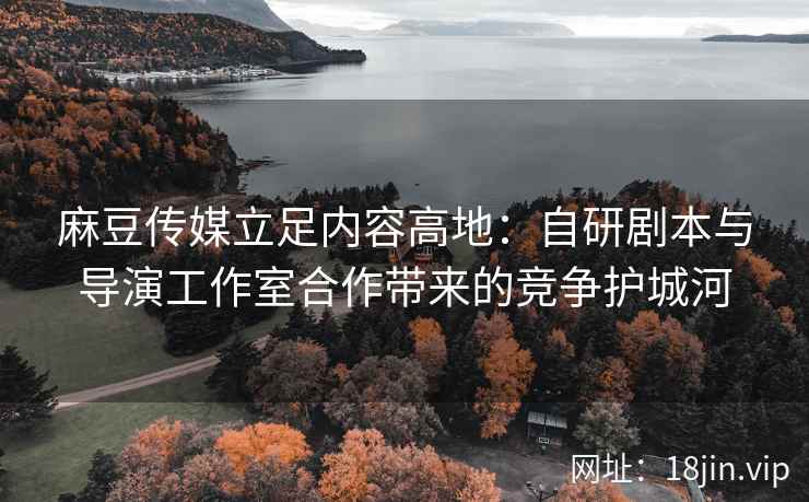 麻豆传媒立足内容高地：自研剧本与导演工作室合作带来的竞争护城河