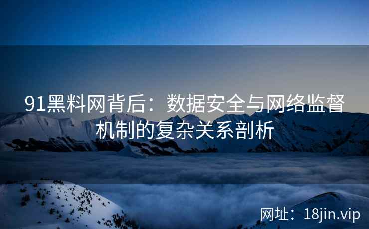 91黑料网背后：数据安全与网络监督机制的复杂关系剖析