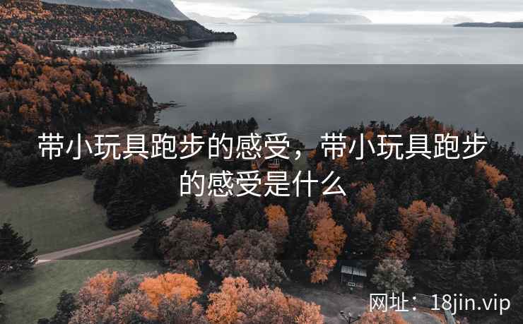 带小玩具跑步的感受，带小玩具跑步的感受是什么