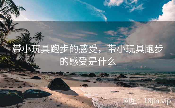 带小玩具跑步的感受，带小玩具跑步的感受是什么