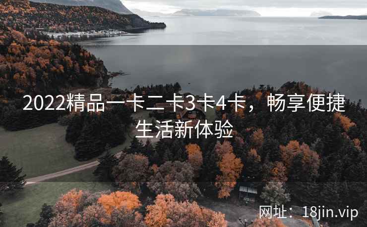 2022精品一卡二卡3卡4卡，畅享便捷生活新体验