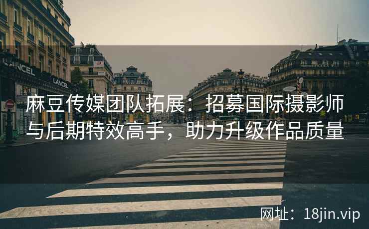 麻豆传媒团队拓展：招募国际摄影师与后期特效高手，助力升级作品质量