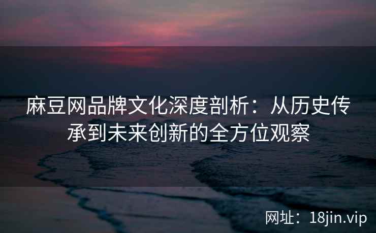 麻豆网品牌文化深度剖析：从历史传承到未来创新的全方位观察