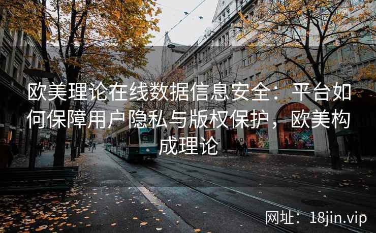 欧美理论在线数据信息安全：平台如何保障用户隐私与版权保护，欧美构成理论
