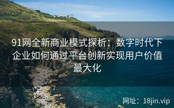 91网全新商业模式探析：数字时代下企业如何通过平台创新实现用户价值最大化