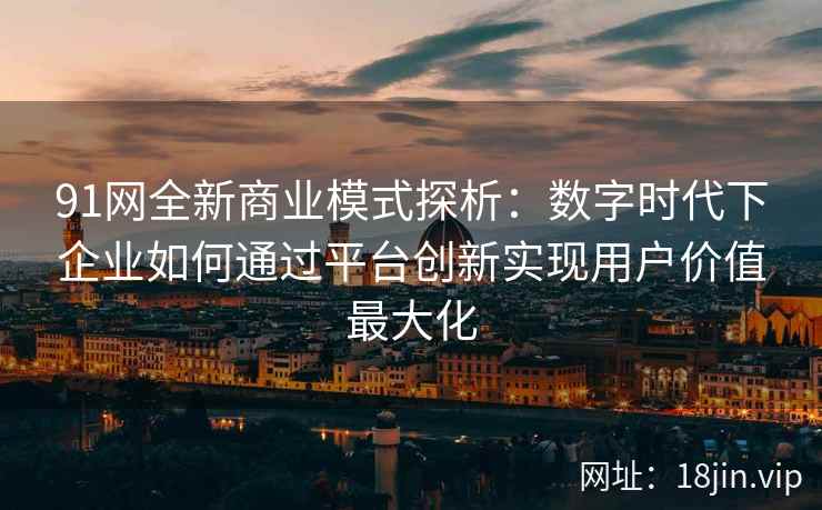 91网全新商业模式探析：数字时代下企业如何通过平台创新实现用户价值最大化