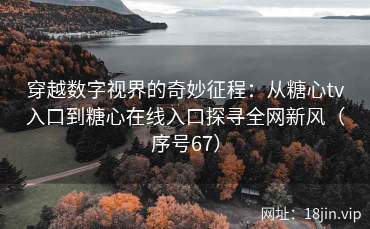 穿越数字视界的奇妙征程：从糖心tv入口到糖心在线入口探寻全网新风（序号67）